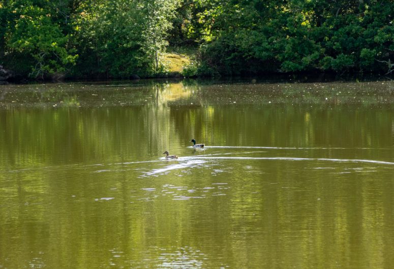 Reiseroute-Von-Saint-Anne-nach-Penfoulic