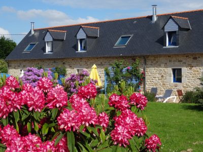 Cigogne–4-