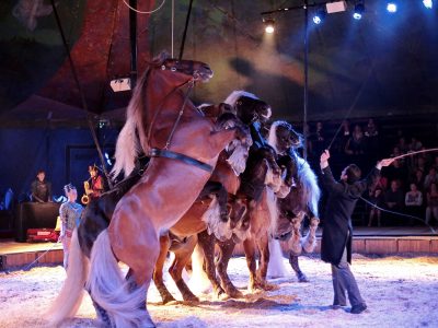 Paardenshow "Cavale" door de firma Jehol