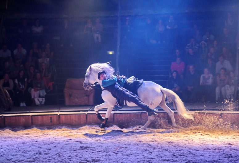 Paardenshow "Cavale" door de firma Jehol