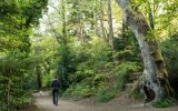 Routebeschrijving-van-Saint-Anne-naar-Penfoulic