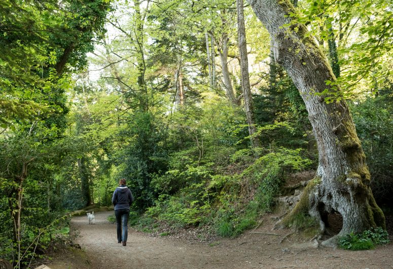 Reiseroute-Von-Saint-Anne-nach-Penfoulic