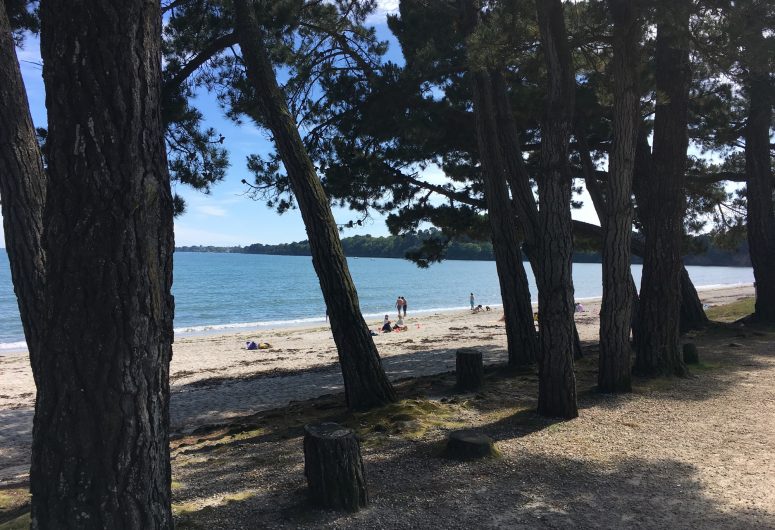 Plage de Cap-Coz