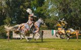 Spectacle de chevalerie