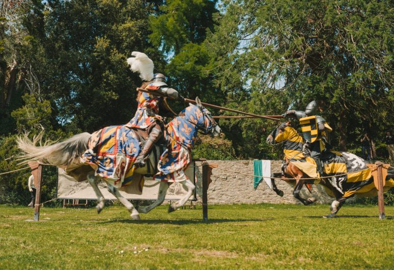 Spectacle de chevalerie