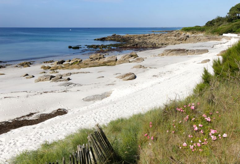 Les dunes 9 Plage
