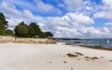 Les oiseaux – Plage