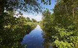 Marais de Mousterlin