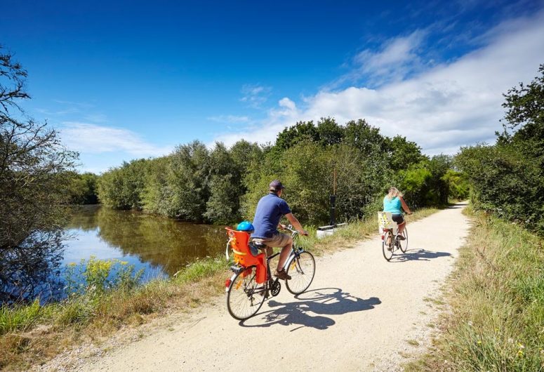 Marais de Mousterlin