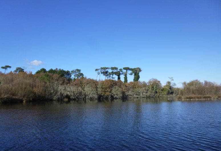 Marais de Mousterlin 1