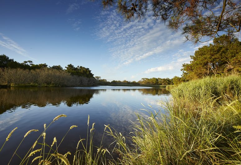 Polder-de-Mousterlin
