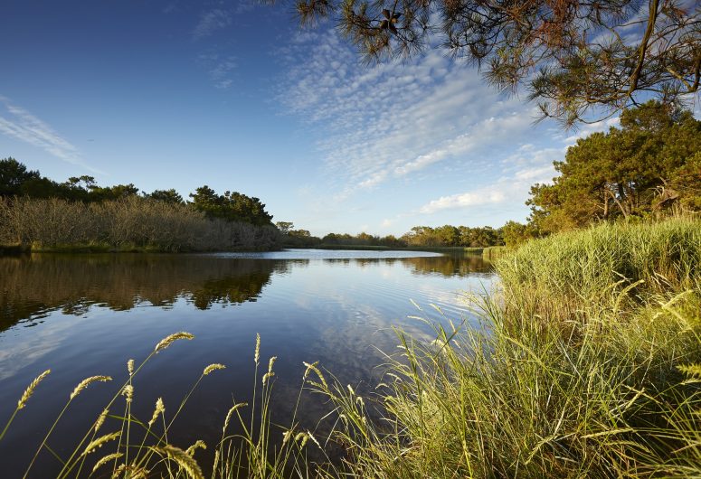 Polder-de-Mousterlin