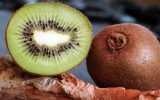 Verger-de-Kiwi