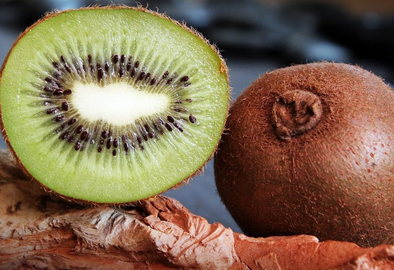 Verger-de-Kiwi