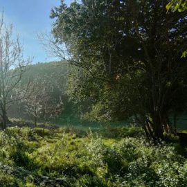 Nature smugglers activities