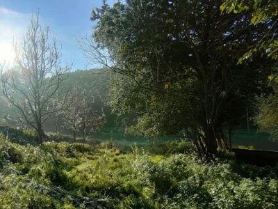 Aktivitäten von Naturschmugglern