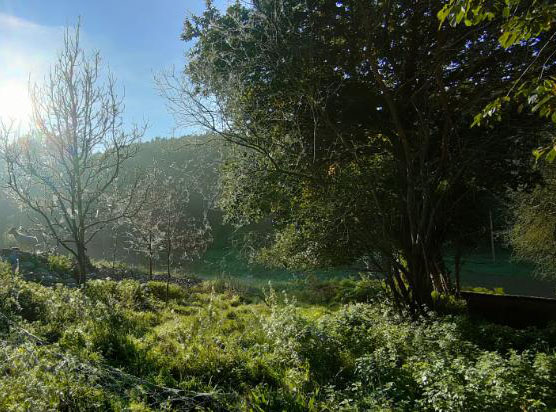 Activités passeurs de nature