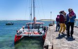 bateau îles glenan – voilier Sailcoop – Croisières de Concarneau à Pont-Aven, Finistère Bretagne 2