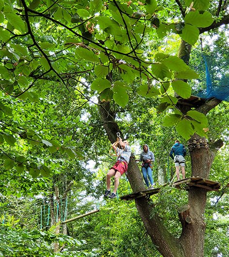 Bonobo Parc Accrobranche à Quimper