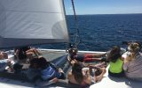 catasailing29_03