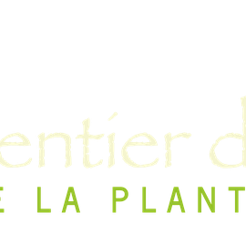 Sentier des arômes