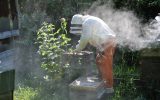 Beekeeper – Fouesnant honey house