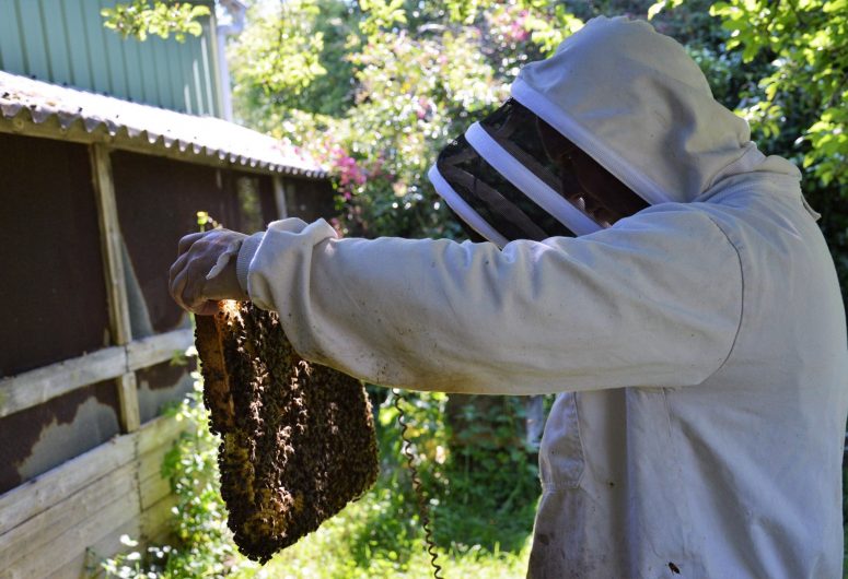 Beekeeper – Fouesnant honey house