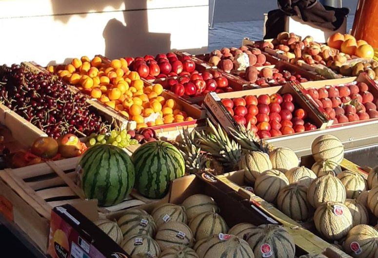 Tudal Fruits